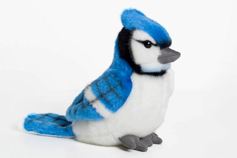 Blue Jay 6 inch Stuffed Animal