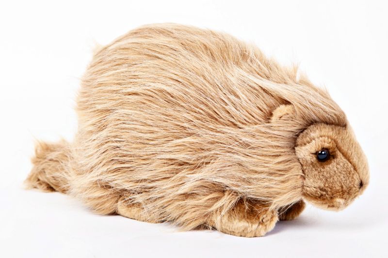 porcupine stuffed
