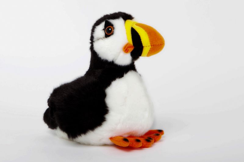 stuffed puffin taxidermy