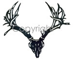 NON-Typical Skull Decal