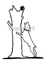 Treed Squirrel Decal