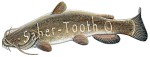 Flathead Catfish Magnet