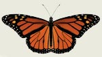 Monarch Butterfly Decal