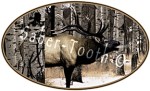 Elk Magnet Oval