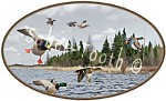 Ducks Magnet Oval