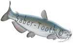 Blue Catfish Decal