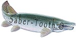 Gator Gar Magnet