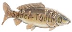 Mirror Carp Magnet