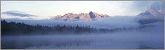Foggy Peaks - Window Graphic