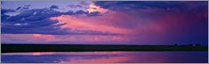 Pink Sunset - Clearvue Rear Window Graphic
