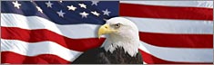 US Flag 1 with Eagle Centered - Clearvue Rear Window Graphic