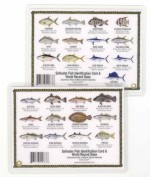 Mid to North Atlantic Saltwater Fish Id Card