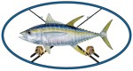 Oval Yellowfin Tuna...