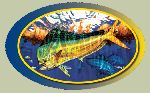 Dolphin Oval Decal