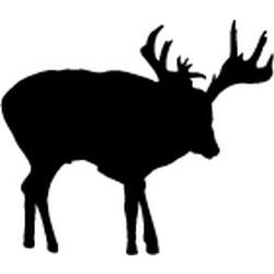 White tail Deer Decal
