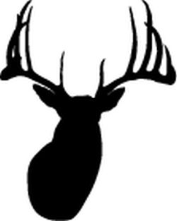 Whitetail Deer Head Decal