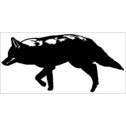 Coyote on Prowl Decal