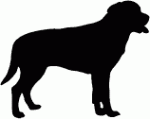 Lab Decal