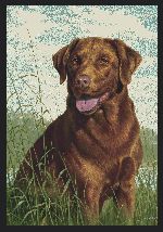 Hautman� Chocolate Lab Area Rug
