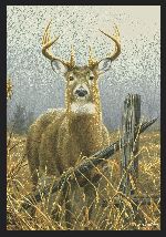 Hautman� Foggy Morning Area Rug