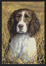 Hautman� Springer Area Rug
