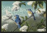 Hautman� Blue Birds Area Rug