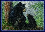Hautman&copy; Bear Family Area Rug