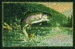 Hautman&copy; Rainbow Trout Area Rug