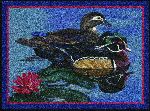 Eddie LeRoy&copy; Wood Duck Area Rug