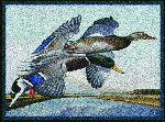 Eddie LeRoy� Flying Mallards Area Rug