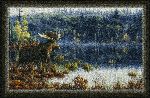 Hautman� Lake Moose Area Rug