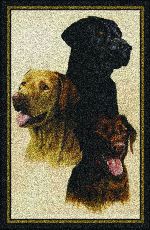 Hautman� Lab Trio Area Rug