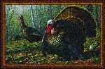 Hautman&copy; Woodland Turkey Area Rug