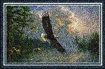 Hautman&copy; Eagle Area Rug