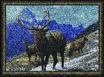 Eddie LeRoy� Elk Area Rug