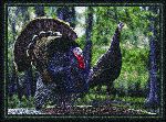 Eddie LeRoy&copy; Spring Turkey Area Rug
