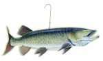 Musky Ornament
