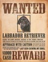 Black Lab - Wanted Poster Tin Sign