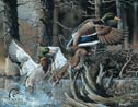 Ducks Unlimited - Beaver Pond Tin Sign