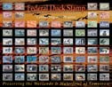Federal Duck Stamps 70 Years Tin Sign