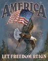 America - Let Freedom Reign Tin Sign