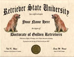 Golden Retriever Diploma
