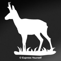 Pronghorn Antelope Decal