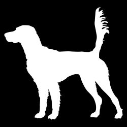 English Setter On Scent Decal