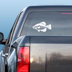Crappie 2 Decal