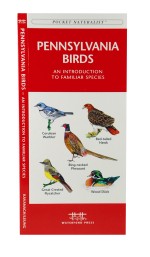 Pennsylvania Birds - A Pocket Naturalist Guide