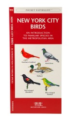 New York City Birds - A Pocket Naturalist Guide