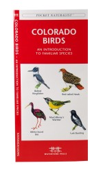 Colorado Birds - A Pocket Naturalist Guide