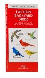 Eastern Backyard Birds - A Pocket Naturalist Guide