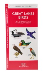 Great Lakes Birds - A Pocket Naturalist Guide